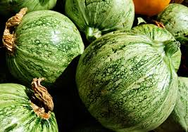  
                                          हरियो फर्सी(डल्लो)                      